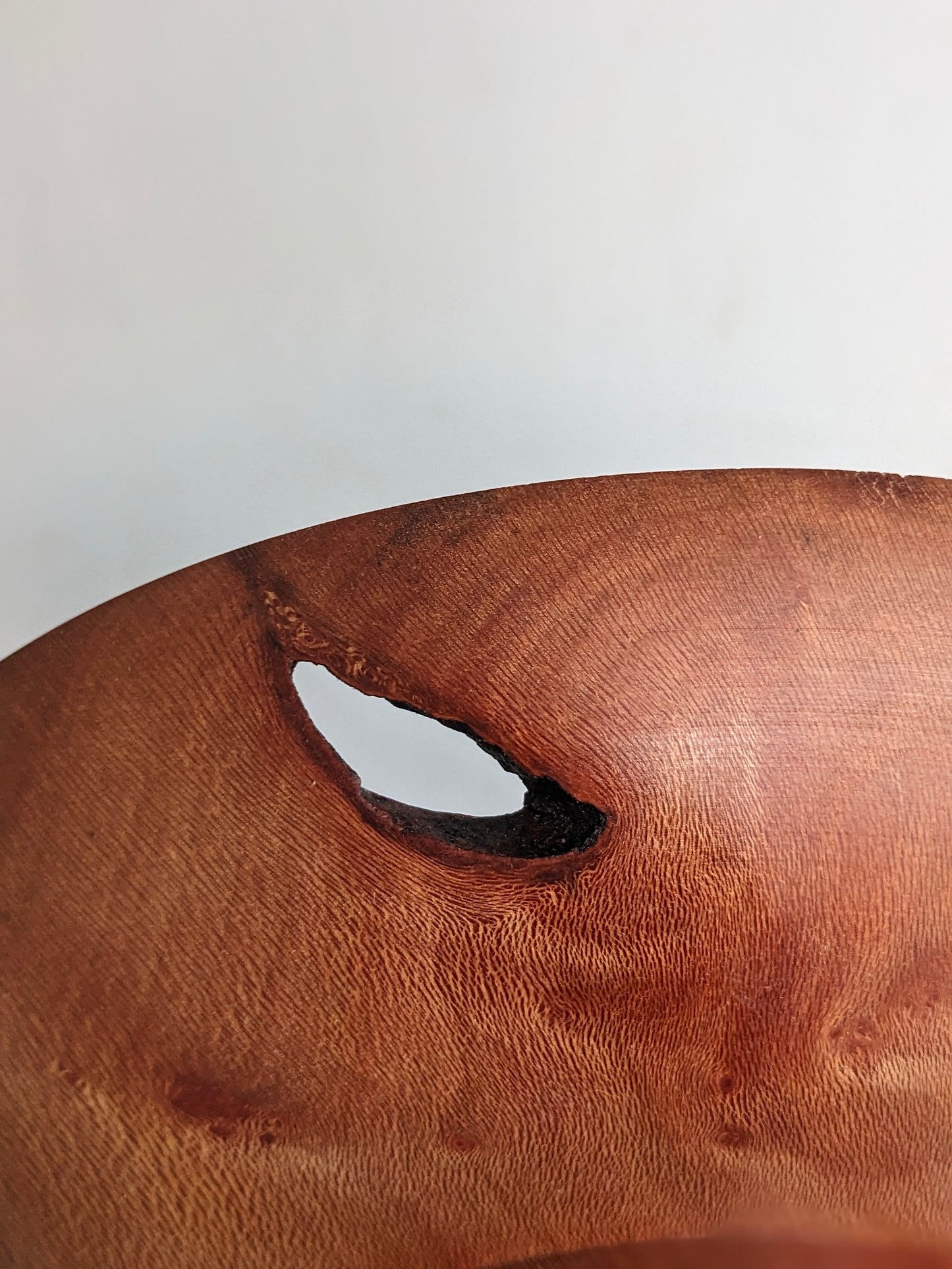 London Plane Platter