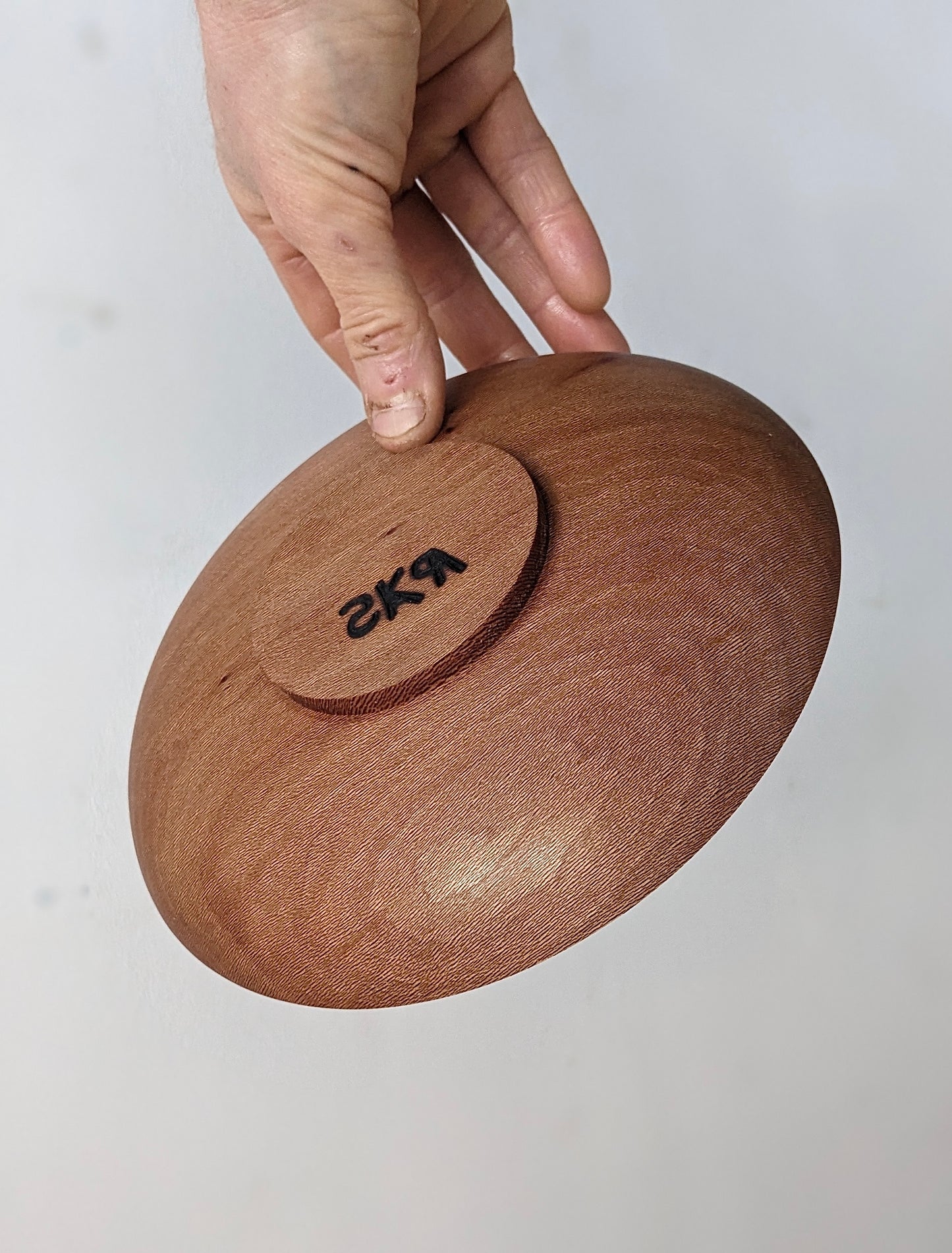 London Plane Dish ii