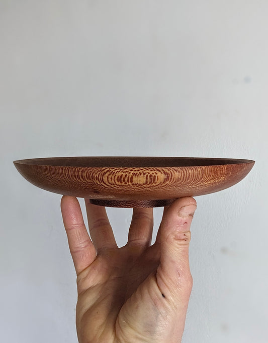 London Plane Dish ii