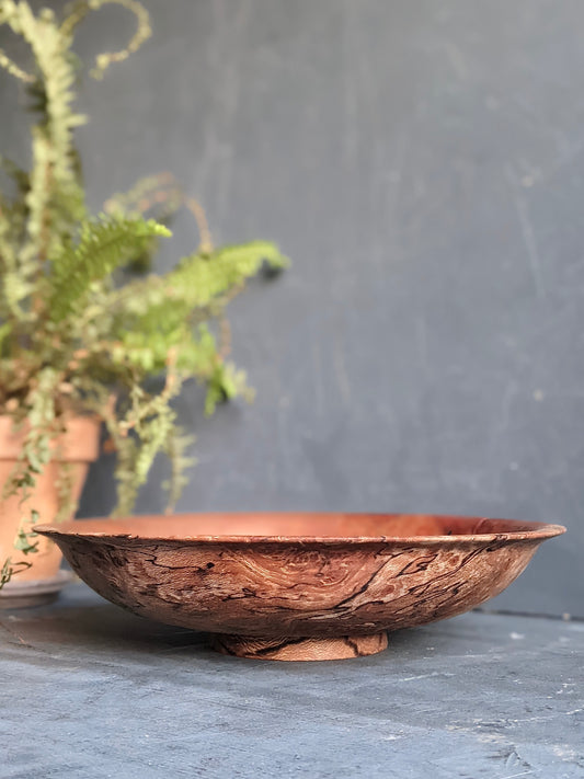 Euston Plane Fruit Bowl